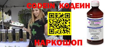 стафф Кингисепп