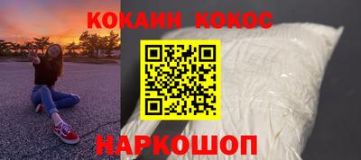 стафф Кингисепп