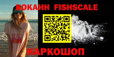 стафф Кингисепп