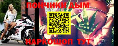 стафф Кингисепп