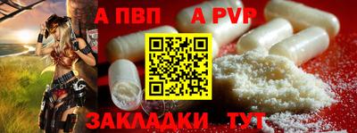 стафф Кингисепп