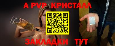 стафф Кингисепп