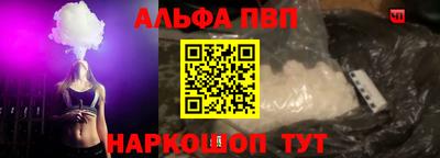 стафф Кингисепп