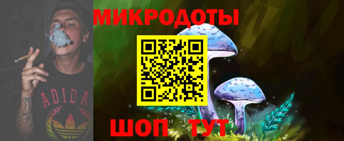 Галлюциногенные грибы Psilocybe Краснокаменск